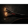 White Magic Regular Speaker Cables