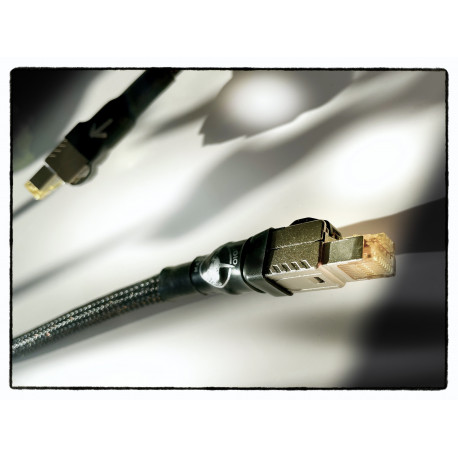 Black Magic Network Cable