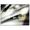 Black Magic Network Cable