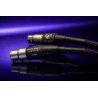 White Magic Prime Analog Interconnects